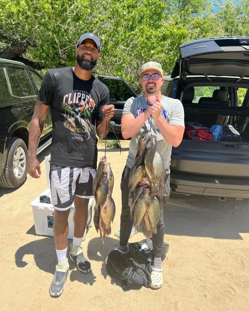 赢得了无数 赢得了无数